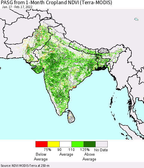 Southern Asia PASG from 1-Month Cropland NDVI (Terra-MODIS) Thematic Map For 2/10/2022 - 2/17/2022