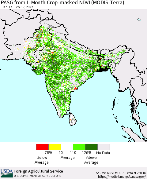 Southern Asia PASG from 1-Month Cropland NDVI (Terra-MODIS) Thematic Map For 2/11/2022 - 2/20/2022