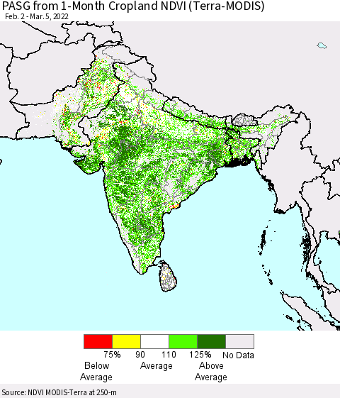 Southern Asia PASG from 1-Month Cropland NDVI (Terra-MODIS) Thematic Map For 2/26/2022 - 3/5/2022