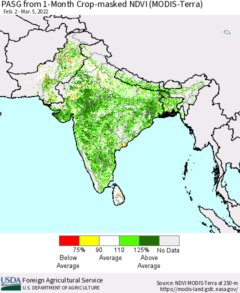 Southern Asia PASG from 1-Month Cropland NDVI (Terra-MODIS) Thematic Map For 3/1/2022 - 3/10/2022