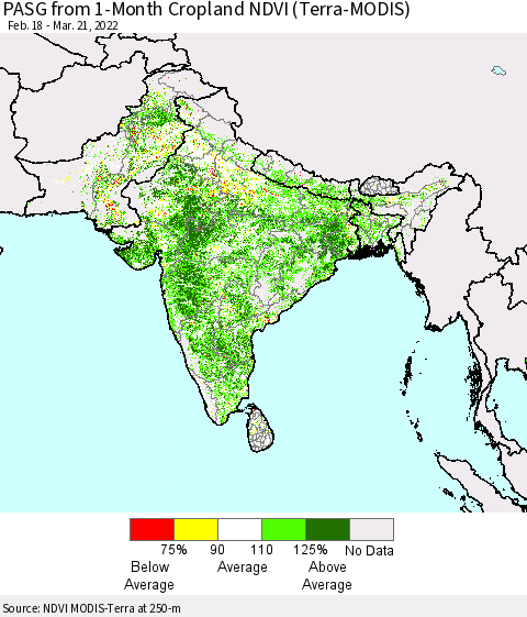 Southern Asia PASG from 1-Month Cropland NDVI (Terra-MODIS) Thematic Map For 3/14/2022 - 3/21/2022