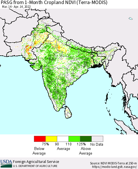 Southern Asia PASG from 1-Month Cropland NDVI (Terra-MODIS) Thematic Map For 4/11/2022 - 4/20/2022
