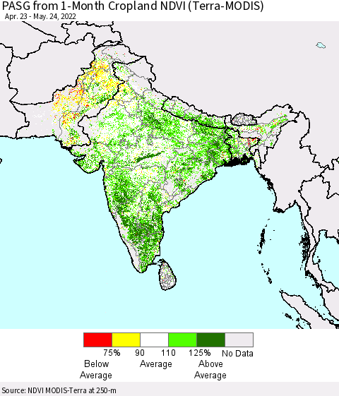 Southern Asia PASG from 1-Month Cropland NDVI (Terra-MODIS) Thematic Map For 5/17/2022 - 5/24/2022