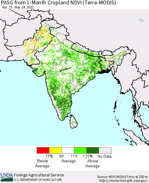 Southern Asia PASG from 1-Month Cropland NDVI (Terra-MODIS) Thematic Map For 5/21/2022 - 5/31/2022