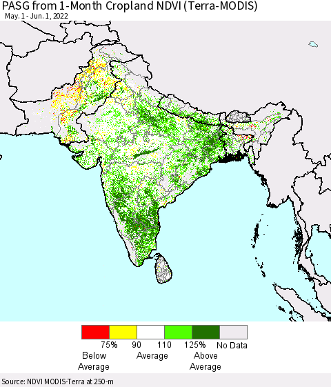Southern Asia PASG from 1-Month Cropland NDVI (Terra-MODIS) Thematic Map For 5/25/2022 - 6/1/2022