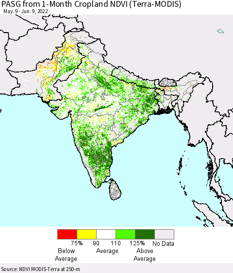 Southern Asia PASG from 1-Month Cropland NDVI (Terra-MODIS) Thematic Map For 6/2/2022 - 6/9/2022