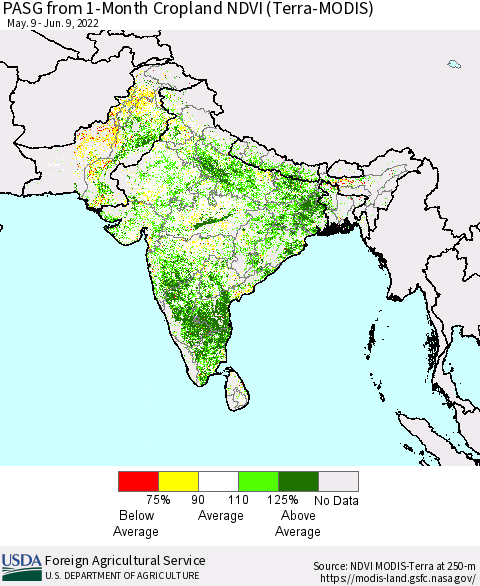 Southern Asia PASG from 1-Month Cropland NDVI (Terra-MODIS) Thematic Map For 6/1/2022 - 6/10/2022