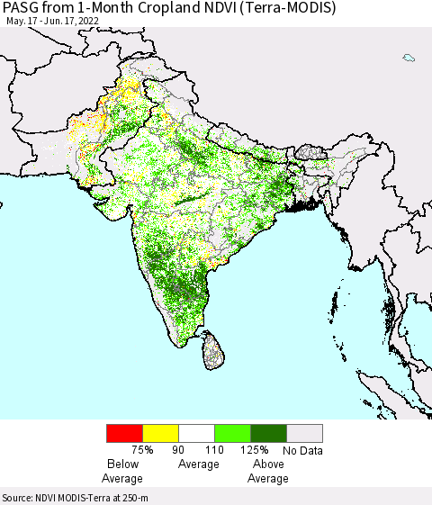 Southern Asia PASG from 1-Month Cropland NDVI (Terra-MODIS) Thematic Map For 6/10/2022 - 6/17/2022