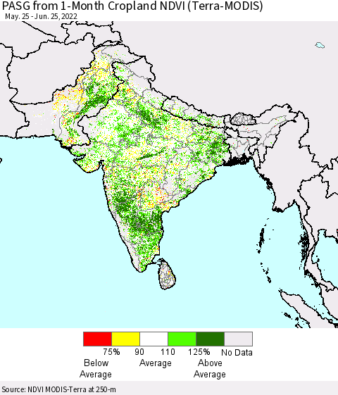 Southern Asia PASG from 1-Month Cropland NDVI (Terra-MODIS) Thematic Map For 6/18/2022 - 6/25/2022