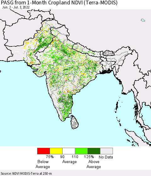 Southern Asia PASG from 1-Month Cropland NDVI (Terra-MODIS) Thematic Map For 6/26/2022 - 7/3/2022