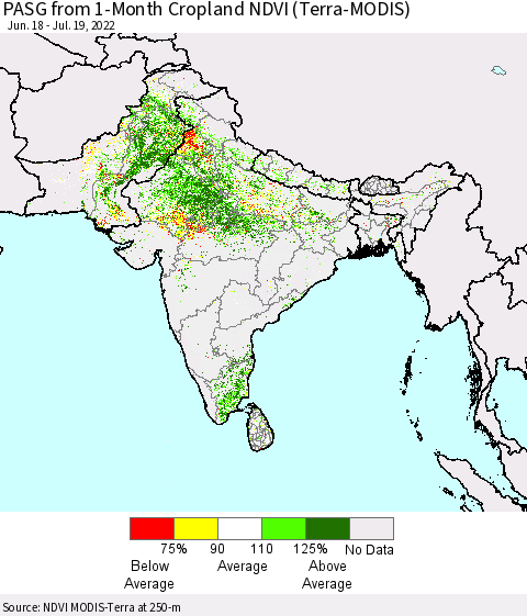 Southern Asia PASG from 1-Month Cropland NDVI (Terra-MODIS) Thematic Map For 7/12/2022 - 7/19/2022
