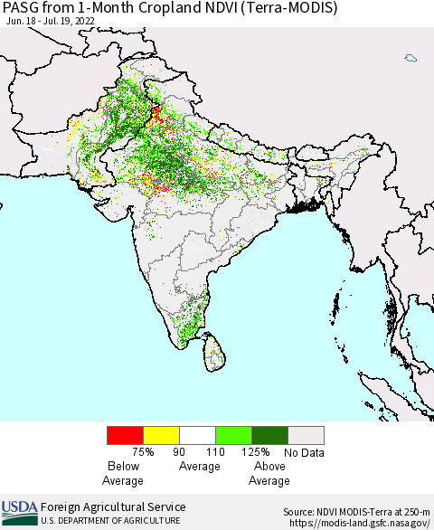 Southern Asia PASG from 1-Month Cropland NDVI (Terra-MODIS) Thematic Map For 7/11/2022 - 7/20/2022