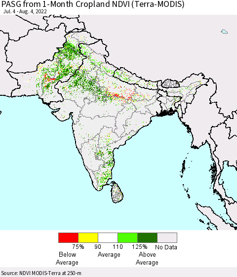 Southern Asia PASG from 1-Month Cropland NDVI (Terra-MODIS) Thematic Map For 7/28/2022 - 8/4/2022