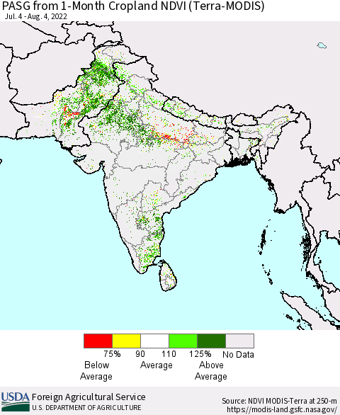 Southern Asia PASG from 1-Month Cropland NDVI (Terra-MODIS) Thematic Map For 8/1/2022 - 8/10/2022