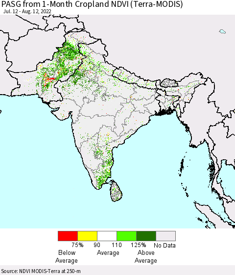 Southern Asia PASG from 1-Month Cropland NDVI (Terra-MODIS) Thematic Map For 8/5/2022 - 8/12/2022