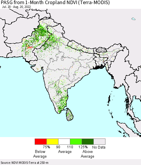 Southern Asia PASG from 1-Month Cropland NDVI (Terra-MODIS) Thematic Map For 8/11/2022 - 8/20/2022