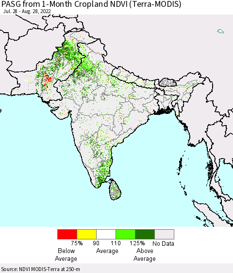 Southern Asia PASG from 1-Month Cropland NDVI (Terra-MODIS) Thematic Map For 8/21/2022 - 8/28/2022