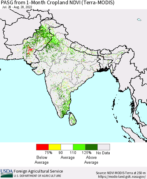 Southern Asia PASG from 1-Month Cropland NDVI (Terra-MODIS) Thematic Map For 8/21/2022 - 8/31/2022