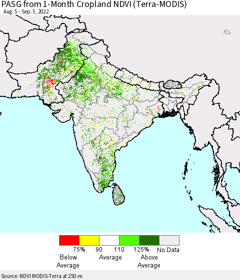 Southern Asia PASG from 1-Month Cropland NDVI (Terra-MODIS) Thematic Map For 8/29/2022 - 9/5/2022