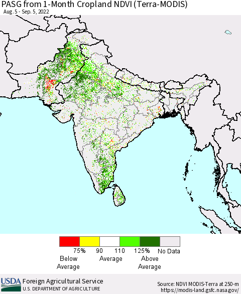 Southern Asia PASG from 1-Month Cropland NDVI (Terra-MODIS) Thematic Map For 9/1/2022 - 9/10/2022