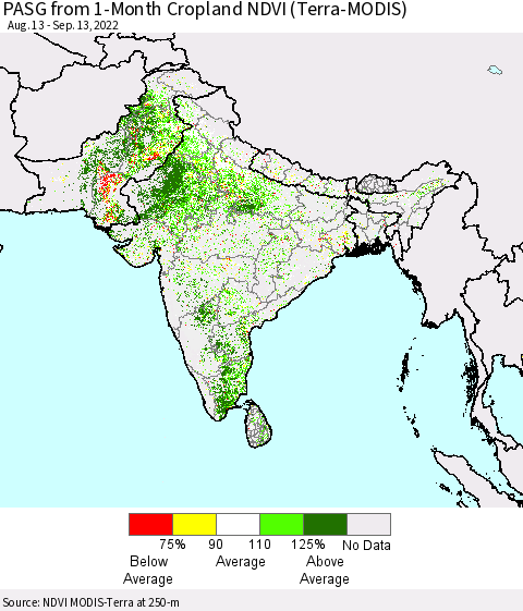 Southern Asia PASG from 1-Month Cropland NDVI (Terra-MODIS) Thematic Map For 9/6/2022 - 9/13/2022