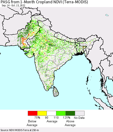 Southern Asia PASG from 1-Month Cropland NDVI (Terra-MODIS) Thematic Map For 10/8/2022 - 10/15/2022