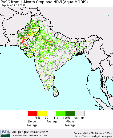 Southern Asia PASG from 1-Month Cropland NDVI (Terra-MODIS) Thematic Map For 10/11/2022 - 10/20/2022