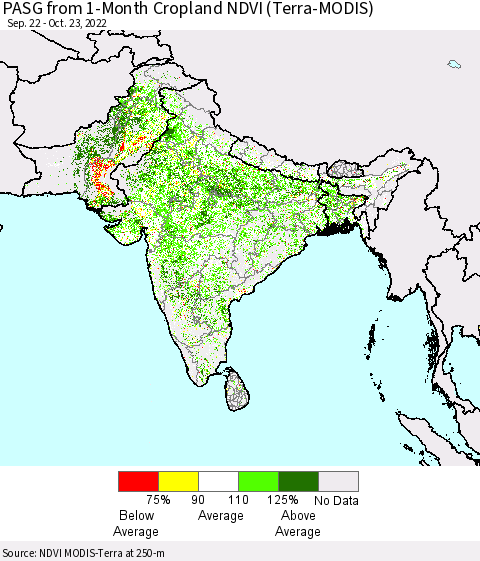 Southern Asia PASG from 1-Month Cropland NDVI (Terra-MODIS) Thematic Map For 10/16/2022 - 10/23/2022