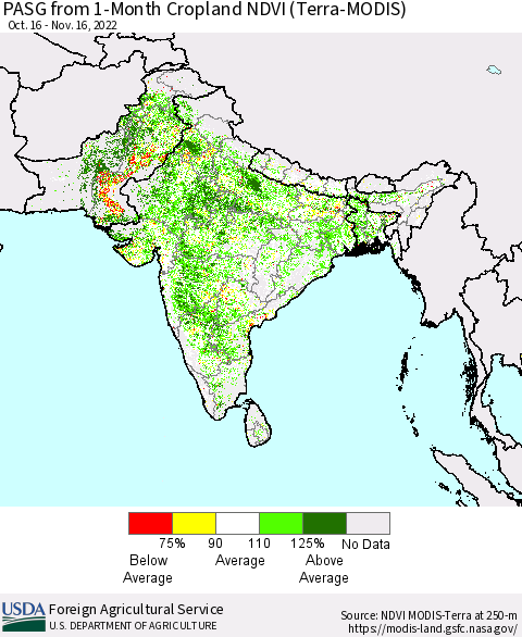 Southern Asia PASG from 1-Month Cropland NDVI (Terra-MODIS) Thematic Map For 11/11/2022 - 11/20/2022