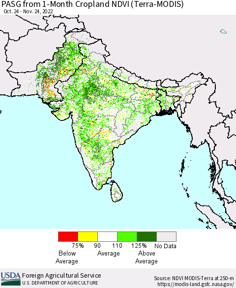 Southern Asia PASG from 1-Month Cropland NDVI (Terra-MODIS) Thematic Map For 11/21/2022 - 11/30/2022