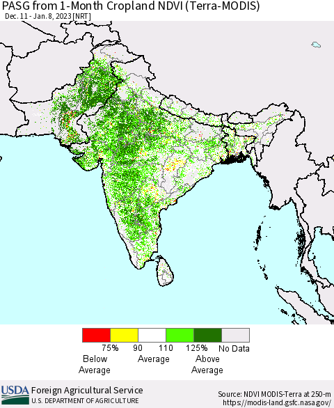 Southern Asia PASG from 1-Month Cropland NDVI (Terra-MODIS) Thematic Map For 1/1/2023 - 1/10/2023