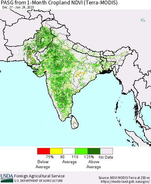 Southern Asia PASG from 1-Month Cropland NDVI (Terra-MODIS) Thematic Map For 1/21/2023 - 1/31/2023