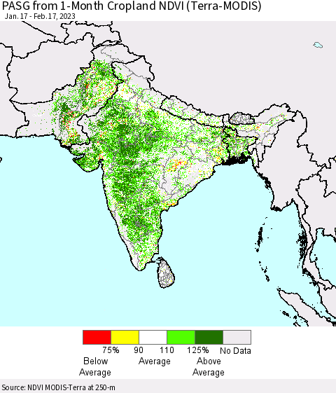 Southern Asia PASG from 1-Month Cropland NDVI (Terra-MODIS) Thematic Map For 2/10/2023 - 2/17/2023