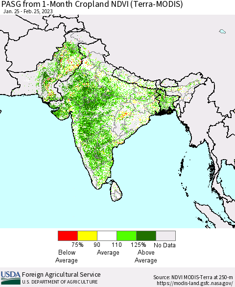Southern Asia PASG from 1-Month Cropland NDVI (Terra-MODIS) Thematic Map For 2/21/2023 - 2/28/2023