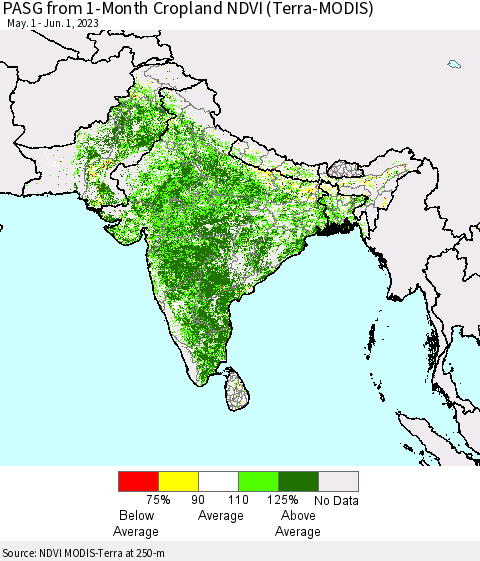 Southern Asia PASG from 1-Month Cropland NDVI (Terra-MODIS) Thematic Map For 5/25/2023 - 6/1/2023