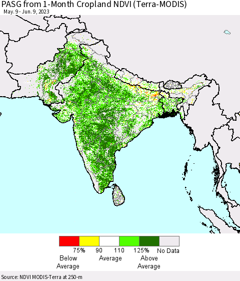 Southern Asia PASG from 1-Month Cropland NDVI (Terra-MODIS) Thematic Map For 6/2/2023 - 6/9/2023