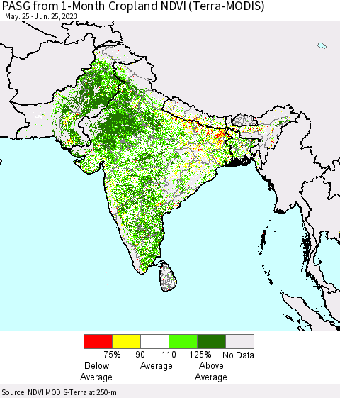 Southern Asia PASG from 1-Month Cropland NDVI (Terra-MODIS) Thematic Map For 6/18/2023 - 6/25/2023