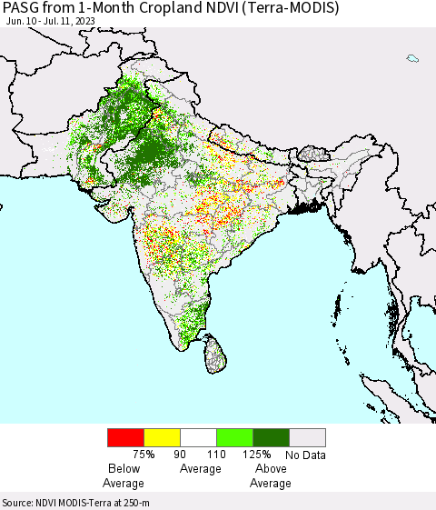 Southern Asia PASG from 1-Month Cropland NDVI (Terra-MODIS) Thematic Map For 7/4/2023 - 7/11/2023