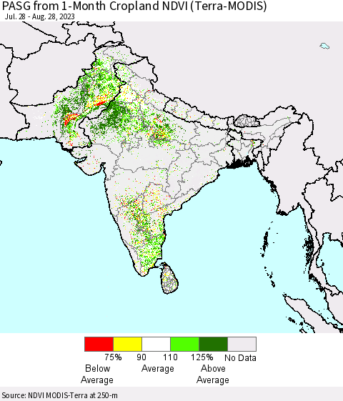 Southern Asia PASG from 1-Month Cropland NDVI (Terra-MODIS) Thematic Map For 8/21/2023 - 8/28/2023