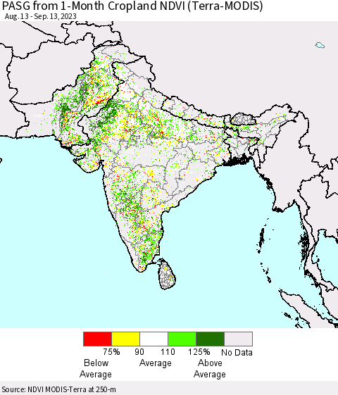 Southern Asia PASG from 1-Month Cropland NDVI (Terra-MODIS) Thematic Map For 9/6/2023 - 9/13/2023
