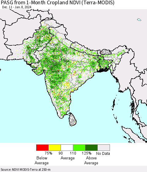 Southern Asia PASG from 1-Month Cropland NDVI (Terra-MODIS) Thematic Map For 1/1/2024 - 1/8/2024