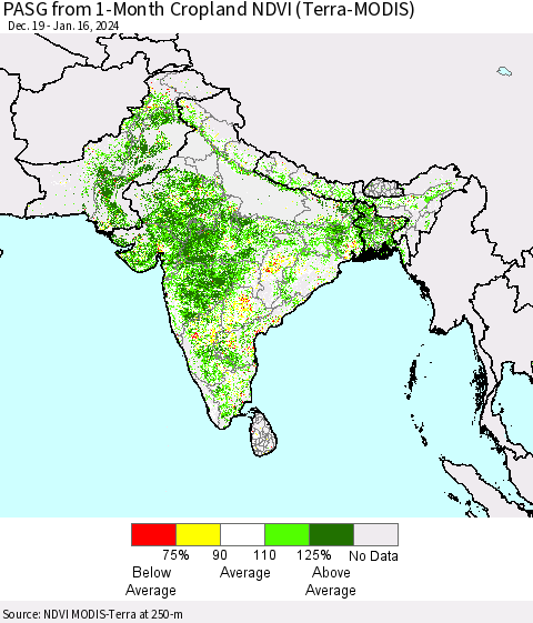 Southern Asia PASG from 1-Month Cropland NDVI (Terra-MODIS) Thematic Map For 1/9/2024 - 1/16/2024