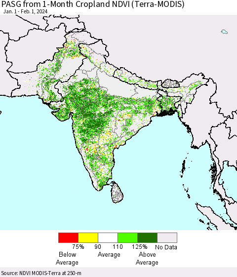 Southern Asia PASG from 1-Month Cropland NDVI (Terra-MODIS) Thematic Map For 1/25/2024 - 2/1/2024