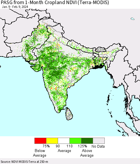Southern Asia PASG from 1-Month Cropland NDVI (Terra-MODIS) Thematic Map For 2/2/2024 - 2/9/2024