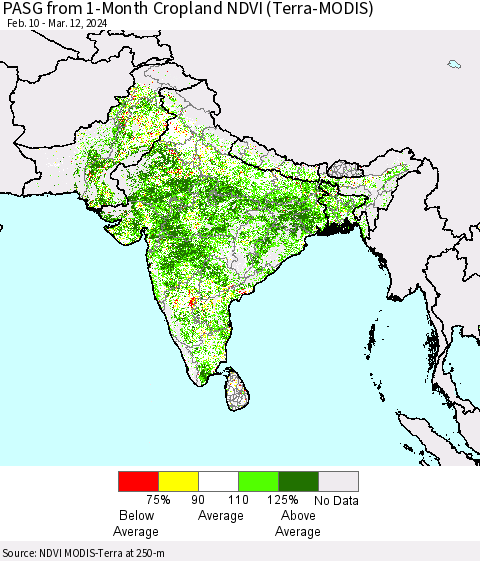 Southern Asia PASG from 1-Month Cropland NDVI (Terra-MODIS) Thematic Map For 3/5/2024 - 3/12/2024
