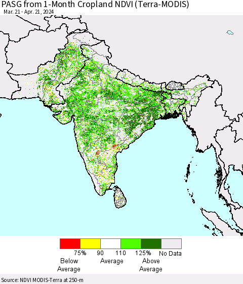 Southern Asia PASG from 1-Month Cropland NDVI (Terra-MODIS) Thematic Map For 4/14/2024 - 4/21/2024