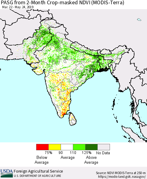 Southern Asia PASG from 2-Month Cropland NDVI (Terra-MODIS) Thematic Map For 5/21/2019 - 5/31/2019