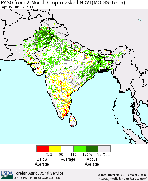 Southern Asia PASG from 2-Month Crop-masked NDVI (MODIS-Terra) Thematic Map For 6/11/2019 - 6/20/2019