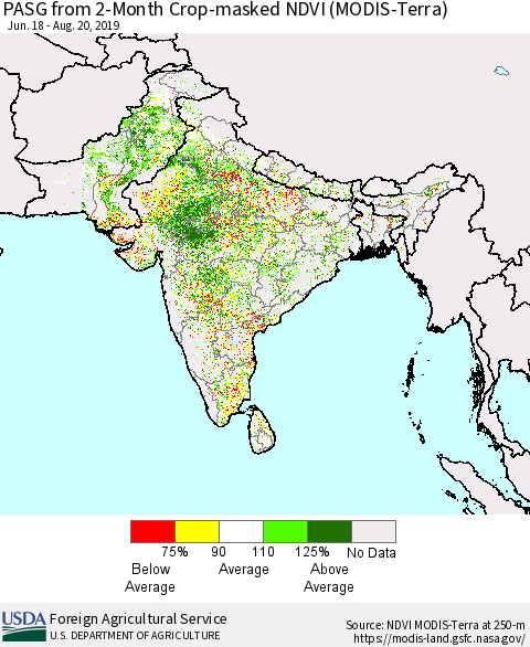 Southern Asia PASG from 2-Month Crop-masked NDVI (MODIS-Terra) Thematic Map For 8/11/2019 - 8/20/2019