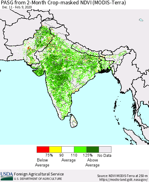 Southern Asia PASG from 2-Month Cropland NDVI (Terra-MODIS) Thematic Map For 2/1/2020 - 2/10/2020
